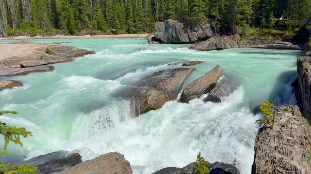 Beautiful view on the powerful Kicking Horse River in Yoho National Park. Canada. British Columbia,. Turquoise river water flows rapidly over large rocks in a forested area, showcasing the natural bea