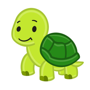 An illustration of a turtle