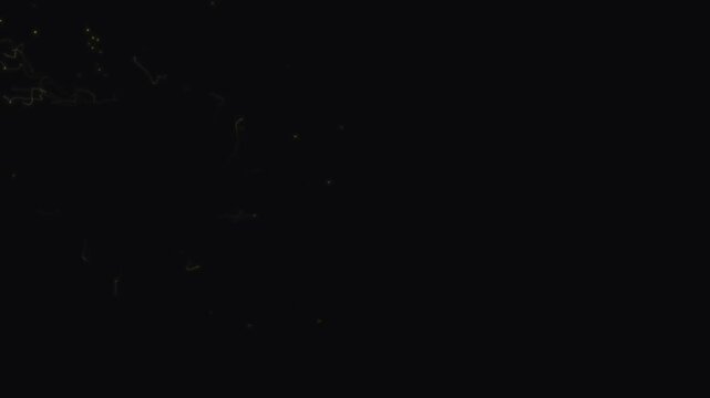 Golden sparkle wave effect, black background, glowing light dust, fantasy glitter stream, twinkling star particles, magical shine ribbon, luxury overlay, ultra hd 4k animatio