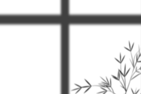Window shadow overlay of classic pane frame and organic bamboo leaves