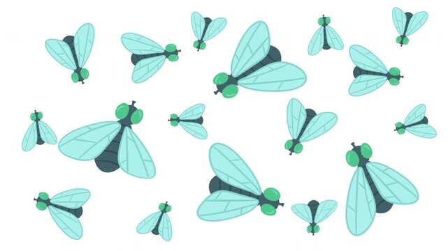 Swarm of 2D cartoon green flies flying top view isolated on white background. Animated insect cloud loop for pest control, sanitation and hygiene concepts.