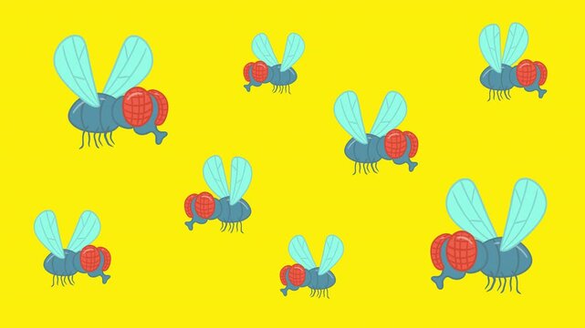 Swarm of cartoon houseflies with red eyes flying on yellow background. 2D animated insect cloud loop for pest control, summer infestation and warning graphics.