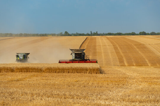 Modern combine harvester working in a golden wheat field during harvest season to produce high quality organic grains and healthy food products