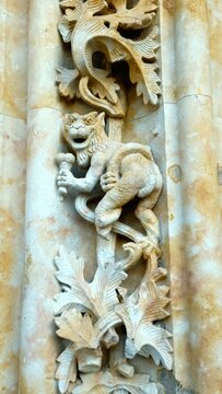 Salamanca