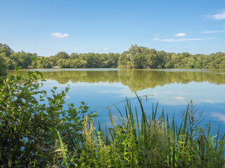 Obraz premium Lovely July summers day at Shackerley Mere , Cheshire, UK