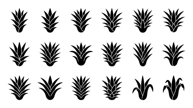 Aloe vera and agave plant vector icon set featuring black silhouettes of succulent leaves and botanical sprouts isolated on white background for skincare packaging, cosmetics, and health logos