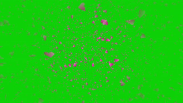 Pink heart shapes falling down or flying away on green background. Abstract background for Happy Valentine's day and wedding ceremony. for chroma key.