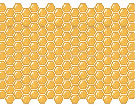 golden hexagon bee hive honeycomb pattern seamless with white background vector