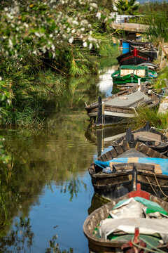 Traditional colourful boats from La Albufera Natural Park, in Valencia, Spain, moored in the harbour