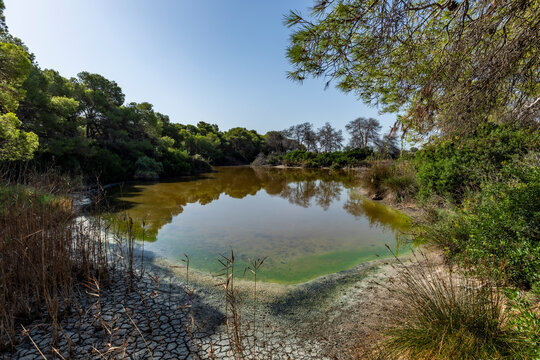 Raco de l'Olla, a lagoon at the Albufera Natural Park Interpretation Centre, Valencia, Spain