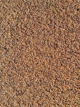 High angle view of coarse textured beach sand mixed with colorful tiny pebbles and grit on a sunny coast in Estonia.