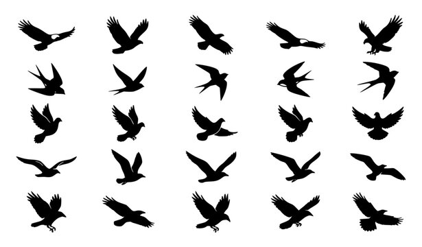 Flying Birds Black Silhouette Vector Icon Set Featuring Eagles Swallows Pigeons Seagulls and Crows for Wildlife Nature and Freedom Graphic Layouts