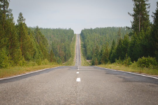 Straight asphalt road climbing steeply through dense coniferous forest in Siberia, Russia