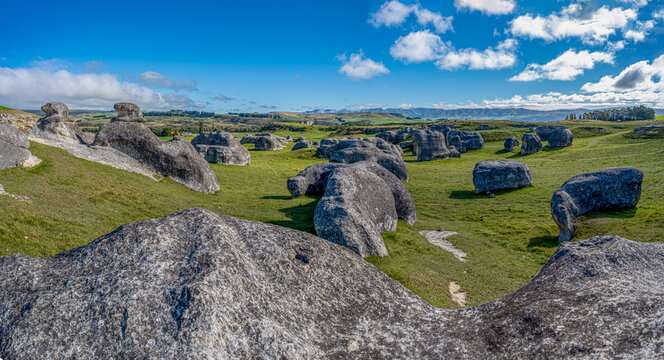 Elephant Rocks verwitterte Kalksteinfelsen auf gruener Weide bei Duntroon Neuseeland