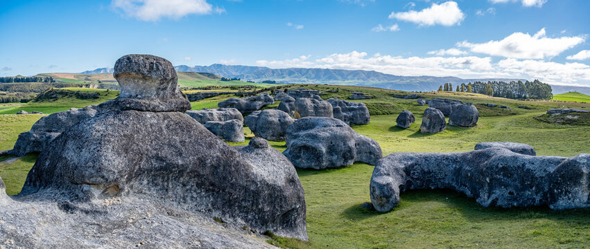 Elephant Rocks verwitterte Kalksteinfelsen auf gruener Weide bei Duntroon Neuseeland