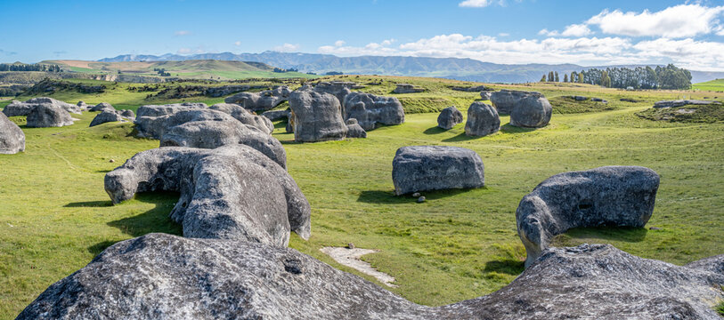 Elephant Rocks verwitterte Kalksteinfelsen auf gruener Weide bei Duntroon Neuseeland