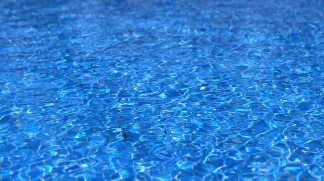 Clear blue water surface rippling in the sun