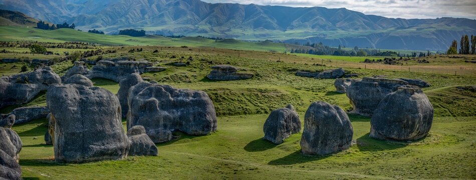 Elephant Rocks verwitterte Kalksteinfelsen auf gruener Weide bei Duntroon Neuseeland