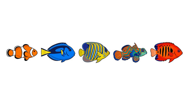 Tropical Fish Icon Set