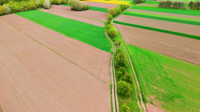 Aerial view of green and brown agricultural fields separated by winding dirt road through farmland