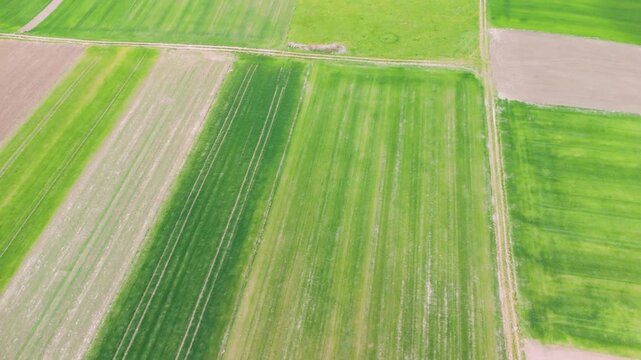 Aerial view of patchwork farmland divided into rectangular green and brown fields separated by dirt paths