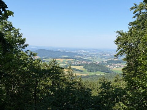 Chamer Senke 2026-06-21 10.29.28