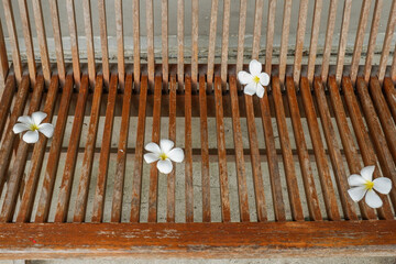 Top view of  frangipani flowers on rattan or bamboo background,detailed craftsmanship and pattern,wooden chair and table,scandinavian style. © wanatithan