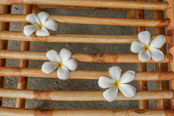 Top view of  frangipani flowers on rattan or bamboo background,detailed craftsmanship and pattern,wooden chair and table,scandinavian style. © wanatithan