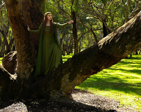 full length portrait of beautiful female model, standing figure wearing green medieval historical gown costume with cloak. Magical forest background with trees.