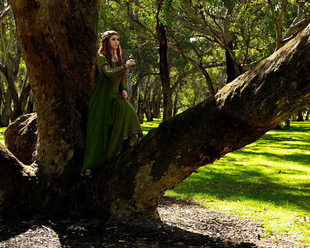 full length portrait of beautiful female model, standing figure wearing green medieval historical gown costume with cloak. Magical forest background with trees.