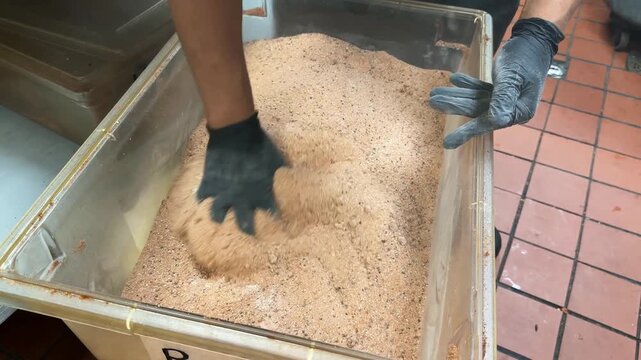 The culinary worker combines various spices and seasonings inside a transparent container while wearing black protective gloves, thoroughly mixing the dry ingredients together for flavor enhancement