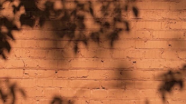 Warm sunlit brick wall texture with dappled tree leaf shadows, orange terracotta background
