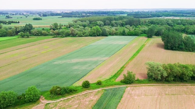 Aerial view of green and brown farmland fields divided by trees near forest edge