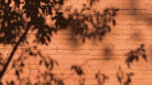 Warm sunlit brick wall texture with dappled tree leaf shadows, orange terracotta background