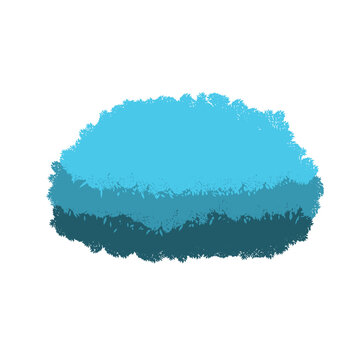 Blue Grass Bush Isolated on white background