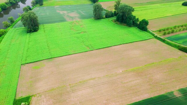 Aerial view of green and brown patchwork farmland fields with small pond and trees in rural countryside