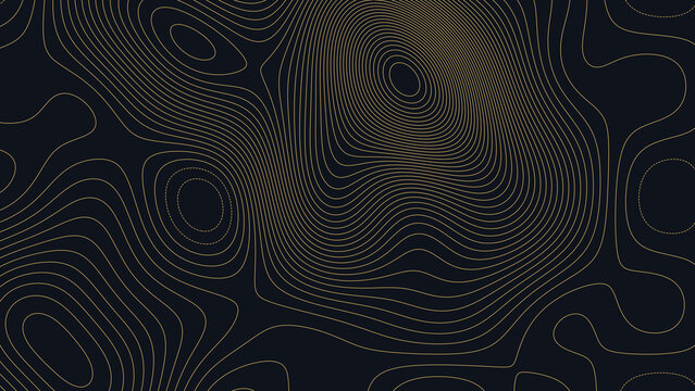 Lake of the Ozarks Missouri Topographic Elevation Map Vector Background