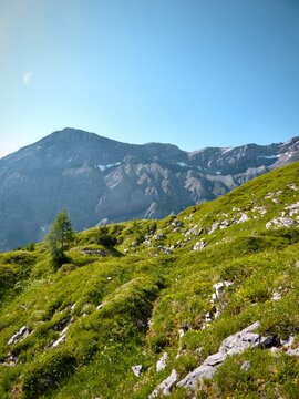 mountain landscape in summer