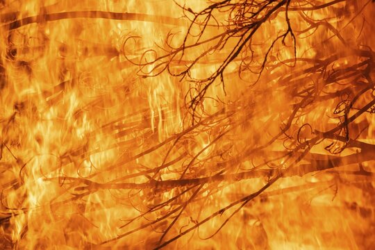 Dense flames burn branches in a strong, intense fire, Finland