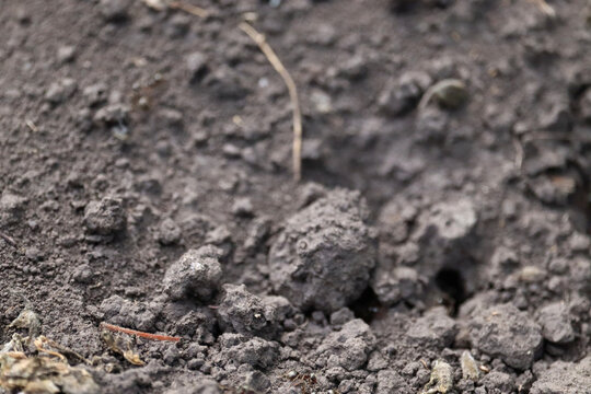 Close-up of dark earth soil texture