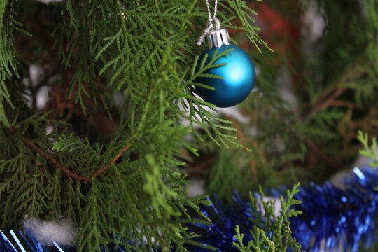 Blue bauble hanging on christmas tree