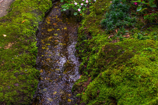 Tranquil river scene with mossy rocks and morning mist in forest,dreamlike atmosphere in the woods,waterfall in nature rainforest concept.
