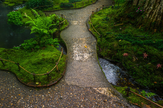 Pathway in forest garden and footpath,Tranquil river scene with mossy rocks,nature rainforest,Waterfall in Garden landscape design space for text.