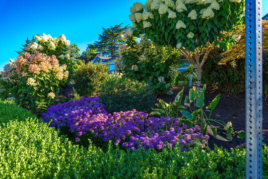 Home Flower Garden 3