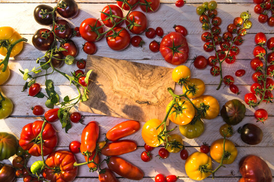 Diverse heirloom tomatoes harvesting on wooden table