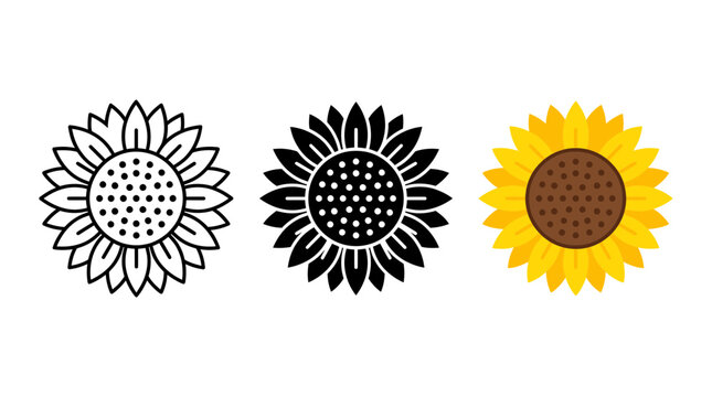 Sunflower flower blossom icons in outline black and flat color styles with sunflower