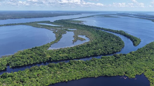 Amazon Rainforest In Novo Airao Amazonas Brazil. Birds Eye View Of Stunning Dark River And Forest Trees. Nature Wildlife. Rainforest River. Novo Airao Amazonas.