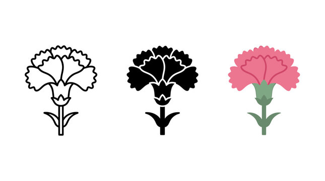 Detailed carnation flower icon set in line art silhouette and flat color with carnation