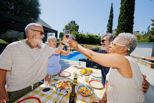 Group of senior friends toasting enjoying outdoor party
