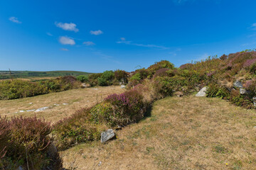Obraz premium A bright landscape of dry grass and heather under a blue sky. Low stone walls and scattered rocks define an open, rural scene - Chysauster Ancient Village, New Mill, Cornwall, UK